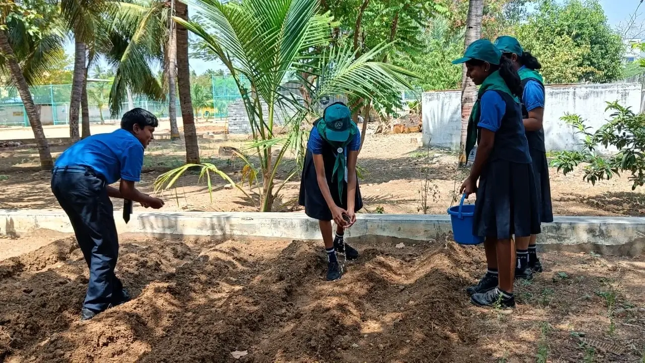 School Gardening
